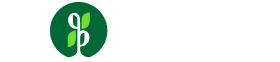 Przystanek Piękna